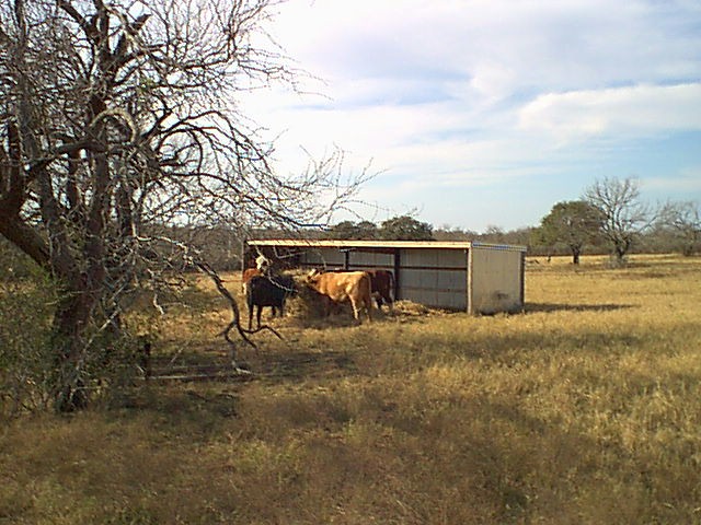 Loafing Shed